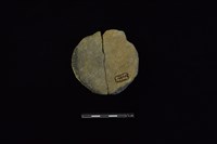 陶片藏品圖，第2張